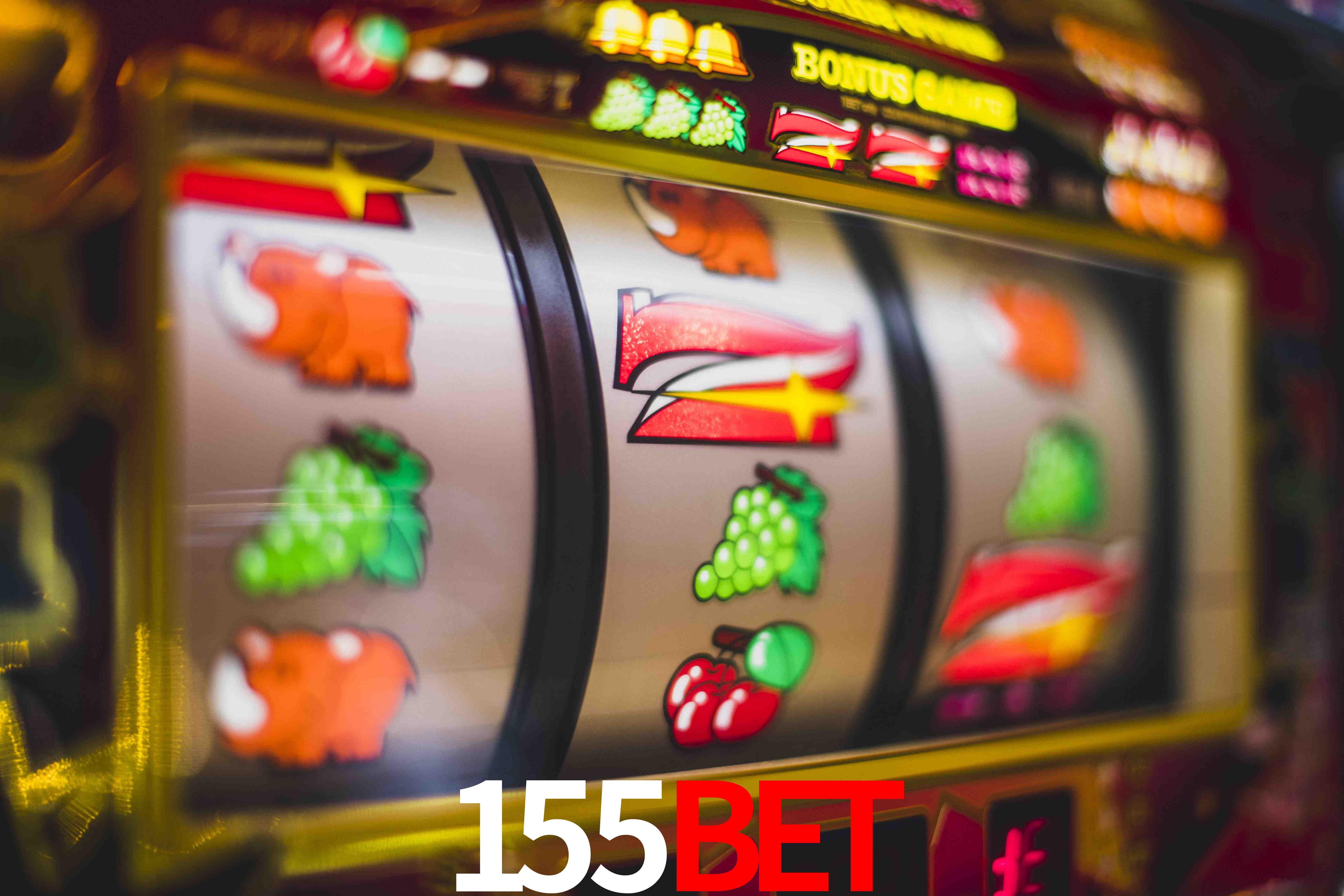 Sports Statistics 155Bet
